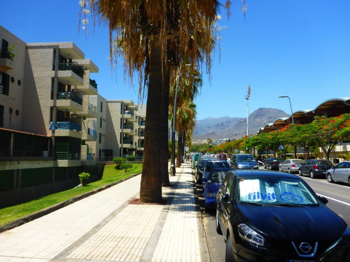 Vinas Playa de las Americas (Tenerife)